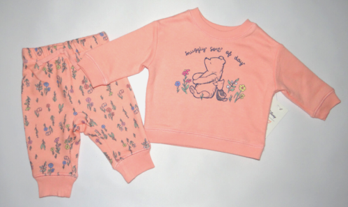 NWT, Baby girl clothes, Newborn, Disney Winnie the pooh 2 piece set - Picture 1 of 8