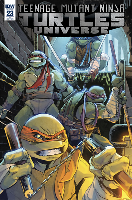 Teenage Mutant Ninja Turtles Universe #23 1:10 Variant IDW Comic