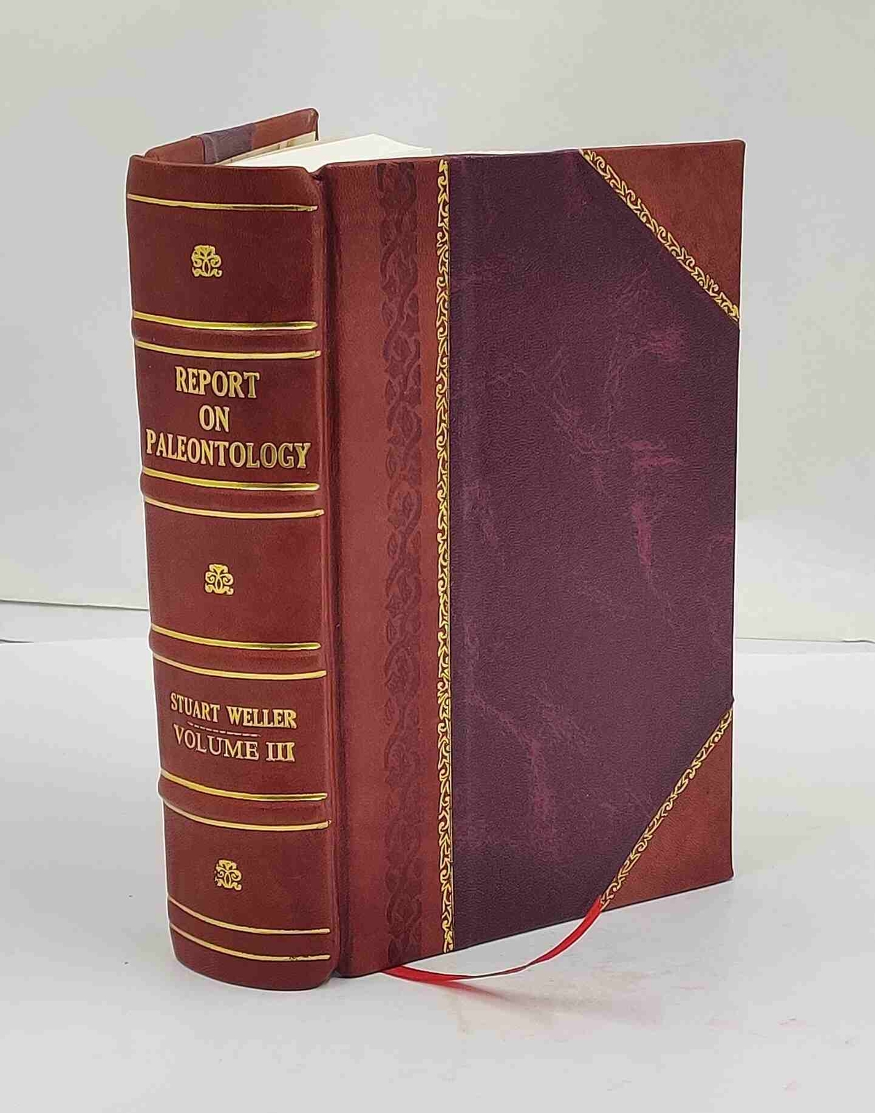 Report on paleontology 1903 by Geological Survey of New Jersey,  [Leather Bound]