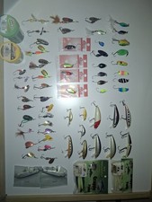 Lotto Pesca Spinning Trota Rapala Mepps Real Winner