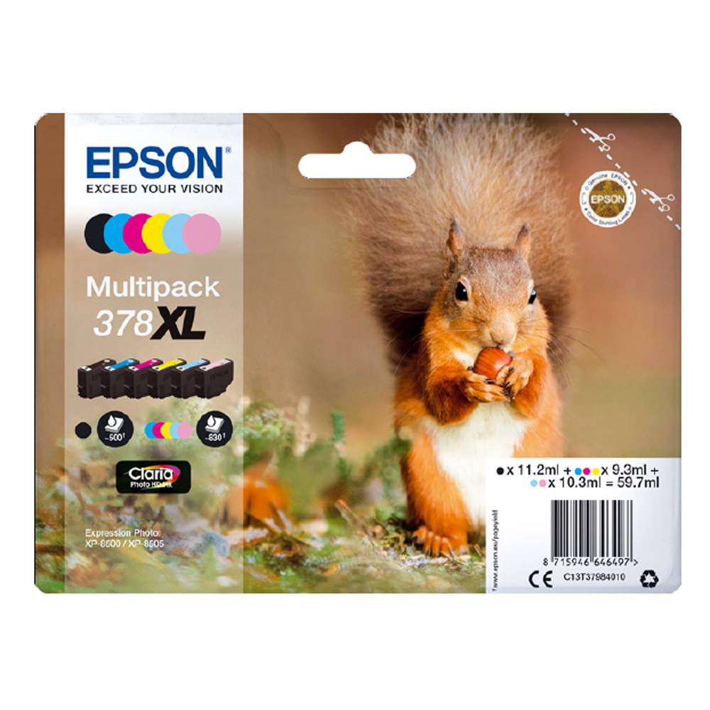 Cartouches Epson 378XL multipack de 6 encres écureuil pour photos haute définition