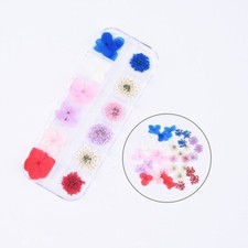 36PCS Real Pressed Dry Mixed flowers collection, 12 colors FCD504 10