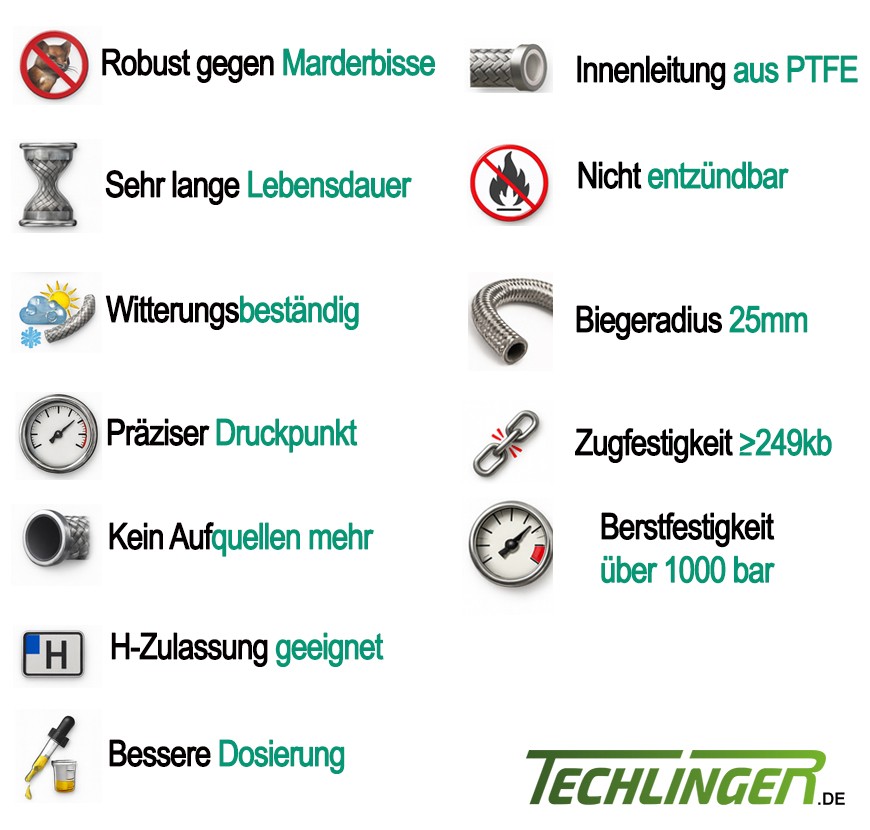 Bild 7 von 7