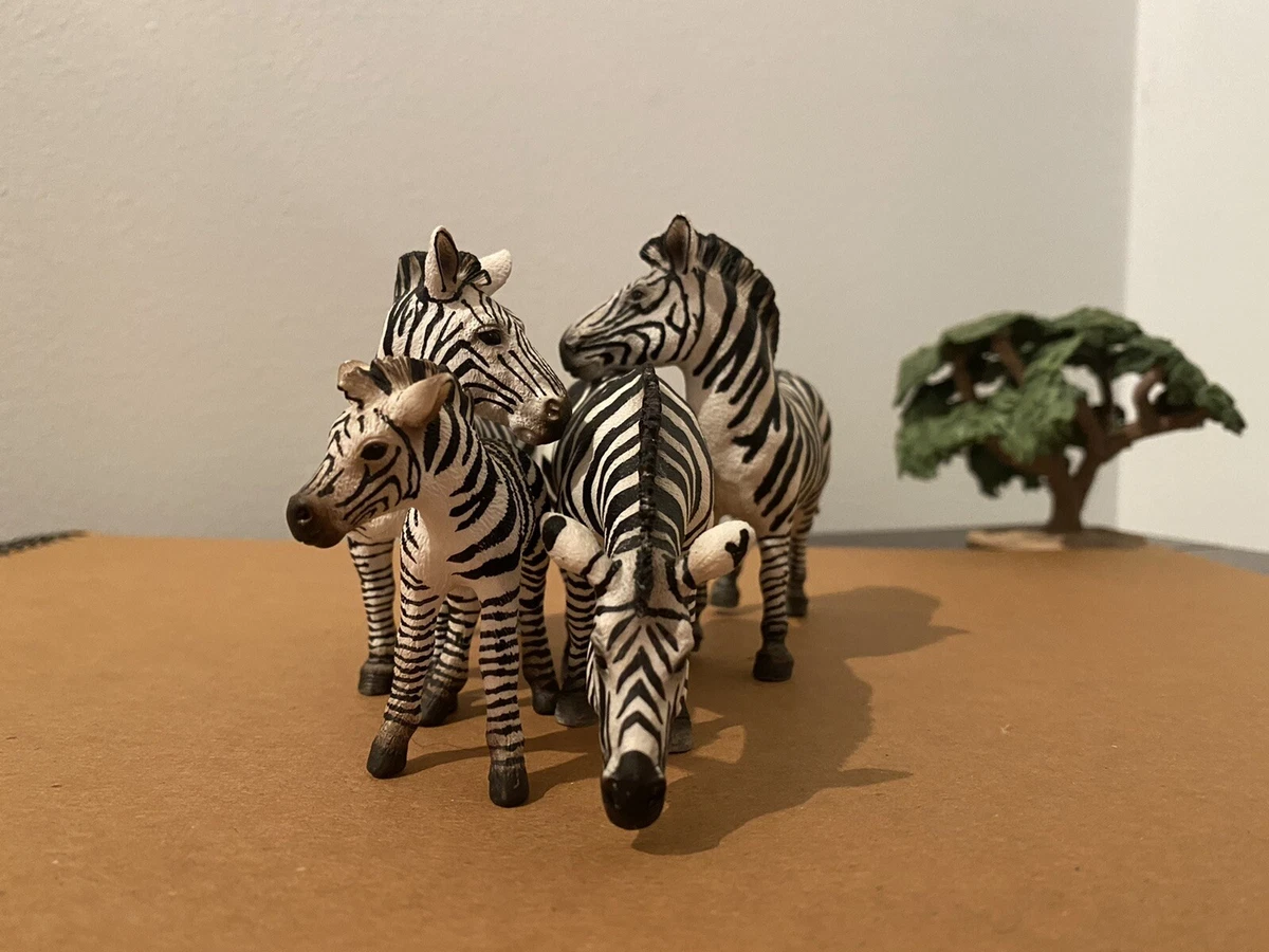Schleich zebra foal 2025