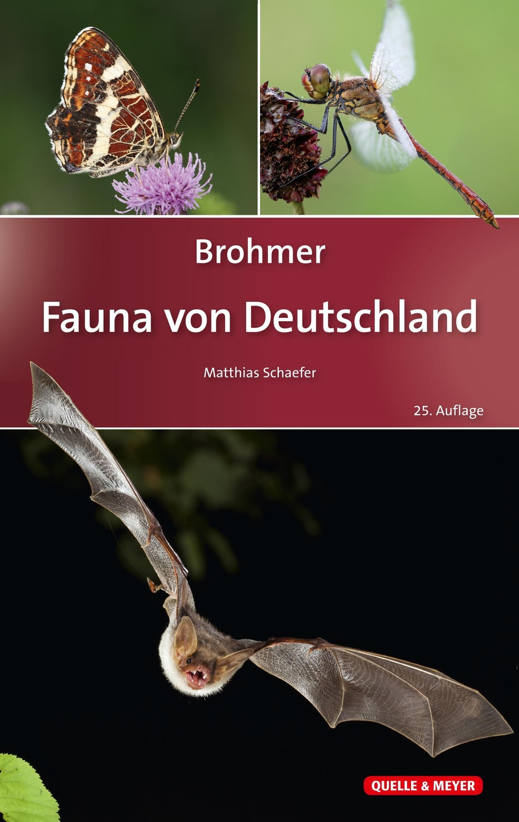 Thumbnail - Brohmer - Fauna Von Deutschland Matthias Schaefer