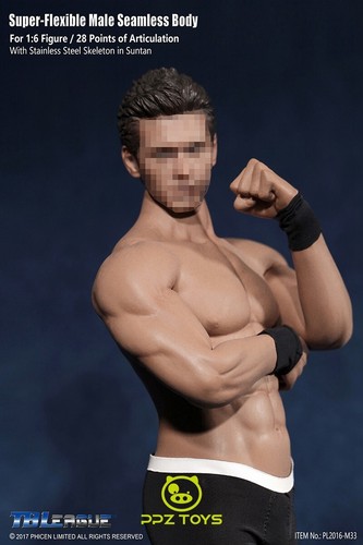 1/6 Phicen Super Flexible Male Seamless Body Steel Skeleton PL2016-M33 TBLeague - Picture 3 of 10