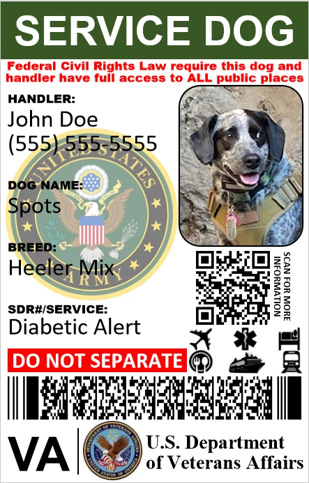 HOLOGRAPHIC VETERAN MILITARY SERVICE DOG ID CUSTOMIZABLE PHYSICAL & DIGITAL - Image 4 of 4