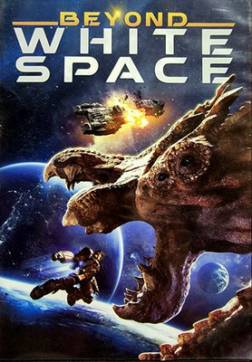 Beyond White Space (DVD) VG Disc + Cover Art - NO CASE
