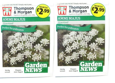 THOMPSON & MORGAN AMMI MAJUS FLOWER SEEDS GRACELAND 200 SEEDS POLLINATORS WHITE