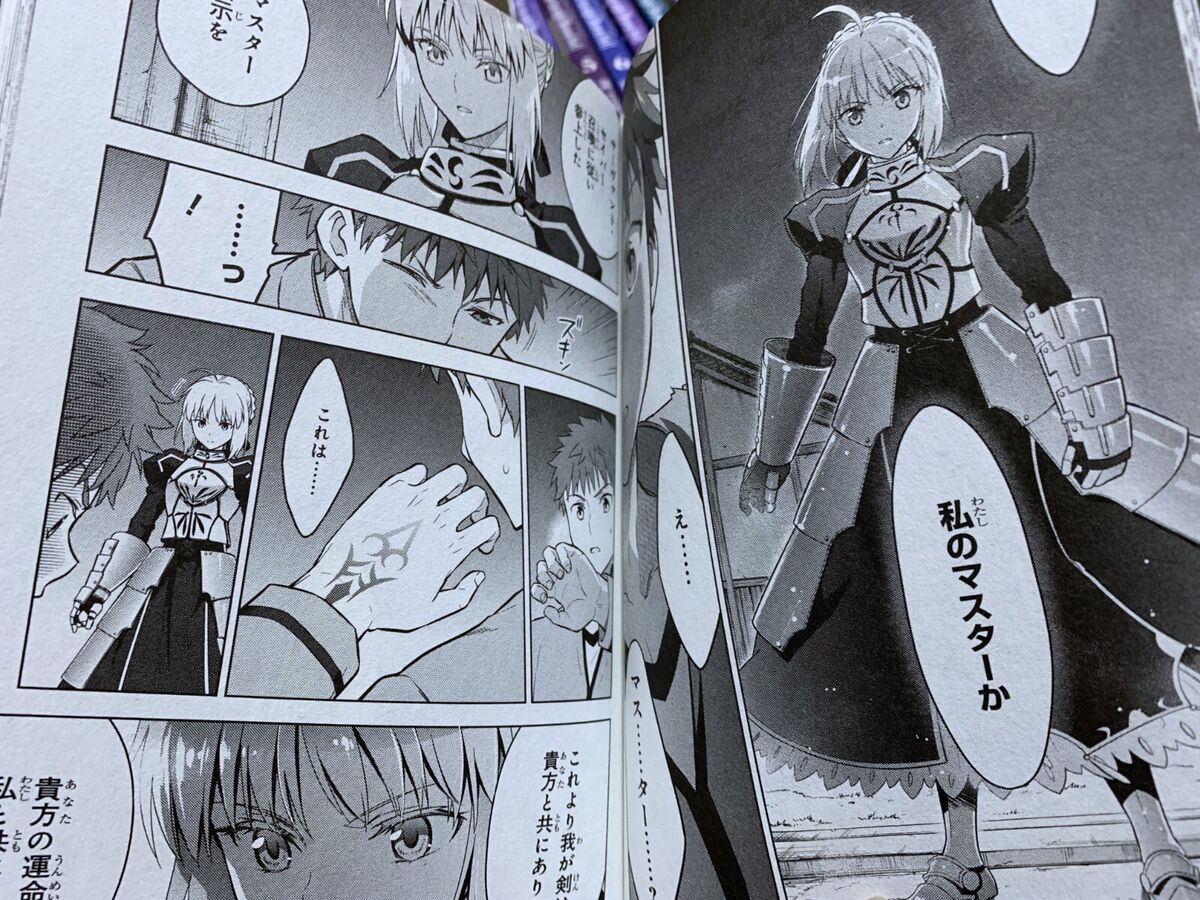 Fate/stay night Heaven's Feel Vol.1-10 Set Comics Type-Moon Fate/stay night Heaven's Feel Vol.1-10 Set Comics Type-Moon