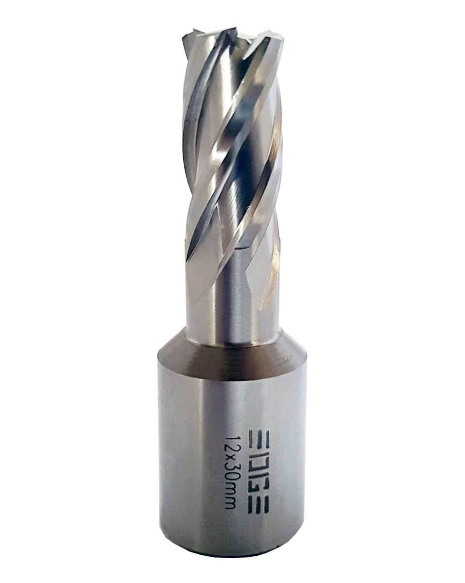 5 Pcs Punta Da Trapano In Lega Taglierina Per La Lavorazione Del Legno