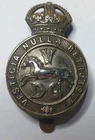 5th Dragoon Guards Cap Badge. Bimetal badge. 41mm x 28mm. WW1. Rear Slider Pin