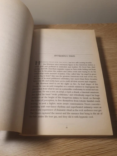 Jim Morrison: Life, Death, Legend by Stephen Davis (English) Paperback Book - Picture 4 of 4