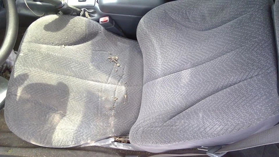 (LOCAL PICKUP ONLY) Roof Glass Fits 95-05 CAVALIER 3903412 - Image 3 of 4