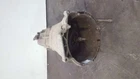 Foto 1 di 4
