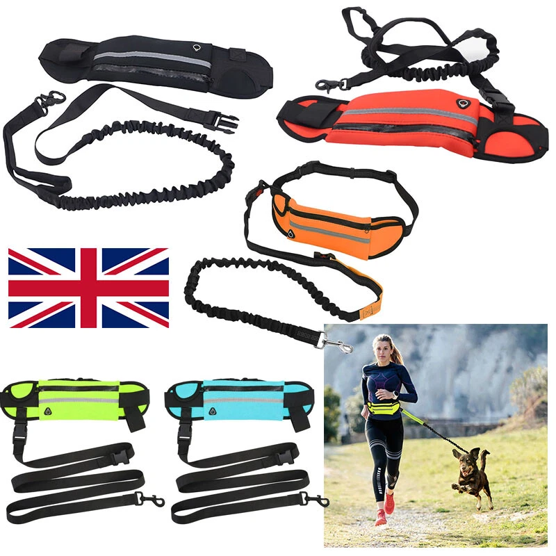 Running leashes cheap
