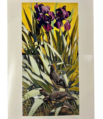 Tarjetas de felicitación con impresión artística de Nicholas Wilson Gouache 5 - animales, pájaros, zorro, codornices - Imagen 2 de 6