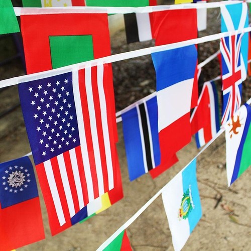 ANLEY 100 Länder Schnurflagge - Internationales Jagdwimpelbanner 82 Fuß - Bild 5 von 6