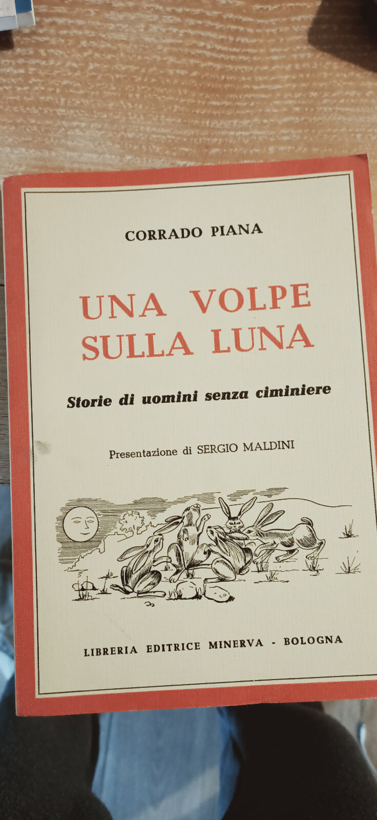 Foto 1 di 1