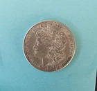 MORGAN SILVER DOLLAR (1)