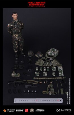 DAMTOYS　中国 人民解放軍 特殊部隊 偵察兵　78022 1/6 Damtoys Chinese People's Liberation Army Special Forces Action