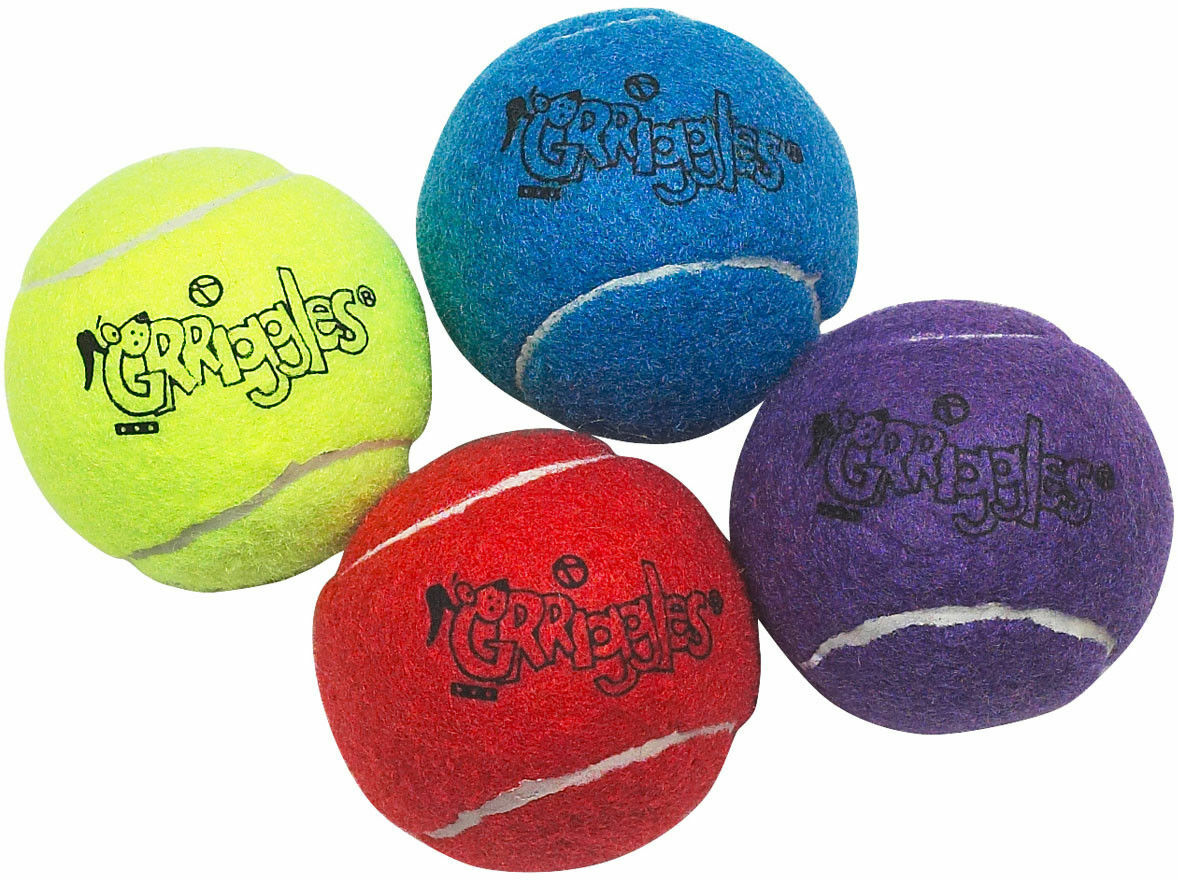 Forever Galvanised 18 Forever Tenis Chuckit Balls For Dogs