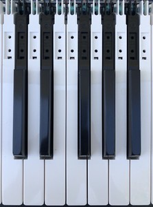 Roland Fantom X8 And Others Set Of 12 Keys See Details Ebay Roland Fantom X8 And Others Set Of 12 Keys See Details Ebay