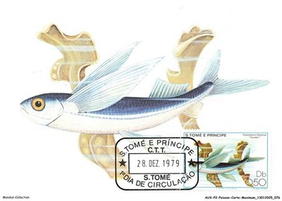 AUXP2-0093-POISSON-CARTE-MAXIMUM - Stome Und Prinzip - Cypselurus Lineatus - Vo