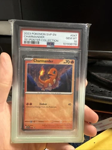 Pokemon Charmander 151 Poster Coll. Holo Promo SVP EN 047 PSA 10 Gem Mint