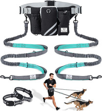 Retractable Hands Free Dog Leash with Dual Bungees for 2 Dogs, Adjustable Waist