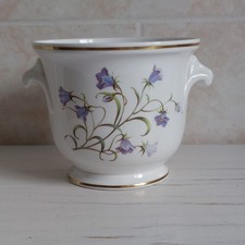 Spode Campanula Planter Plant