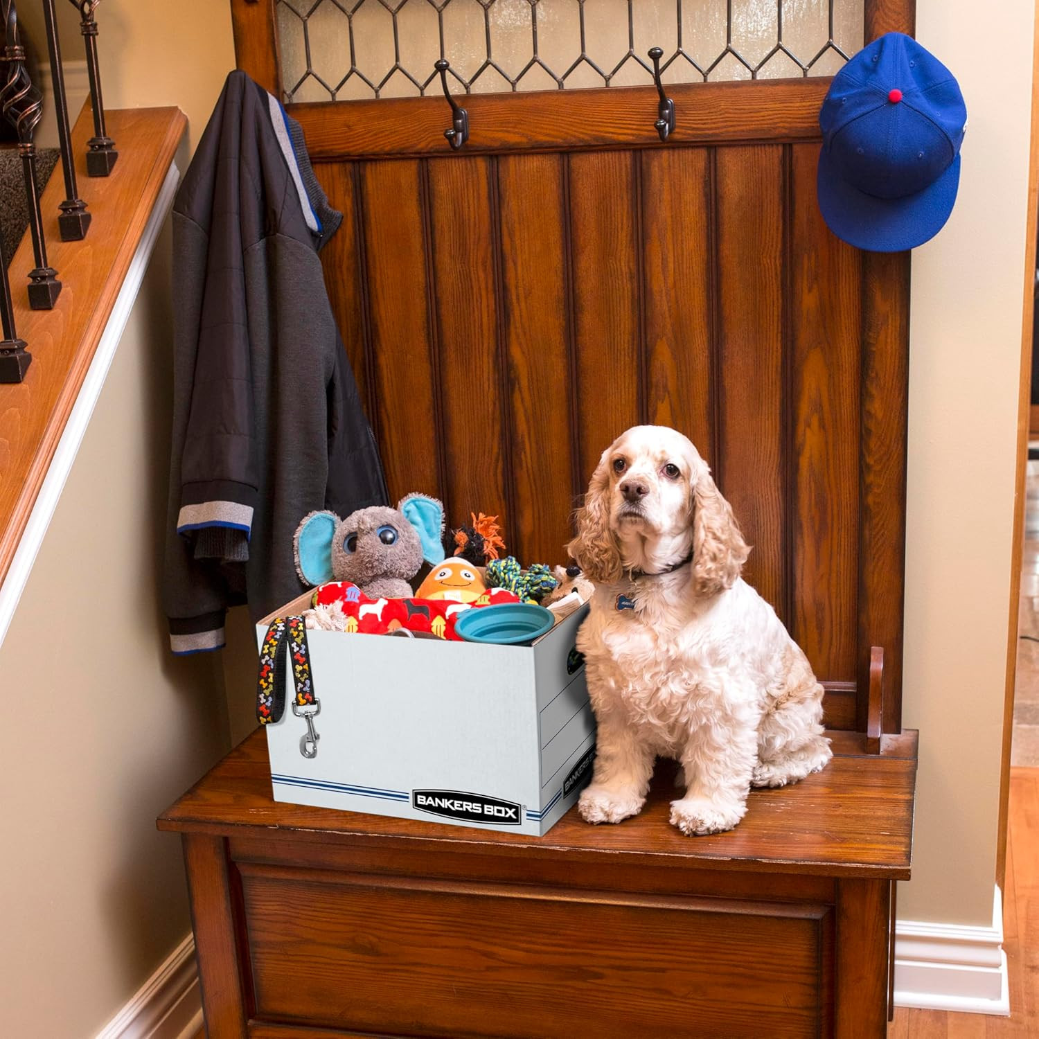 12 Pack Standard Duty File Storage Boxes, Standard Assembly, Removable Lid, Lett