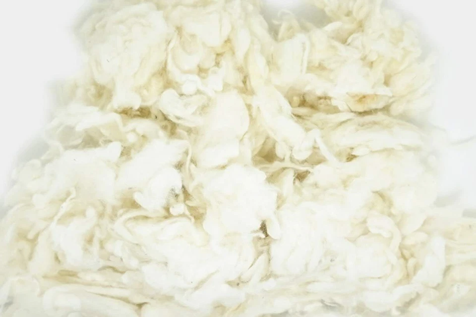 100g Curly Fiber Wool Felt Teddy  Needle Felting for Poodle/Bichon and Sheep - Image 2 of 3