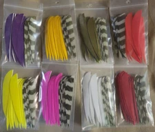 Trueflight 4" Parabolic Cut Combo Pack  LW or RW Feathers - 12 Solid/ 6 Barred