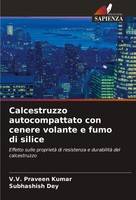 Calcestruzzo Autocompattato Con Cenere Volante E Fumo Di Silice Kumar (U. A.)