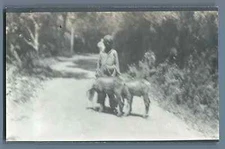 India, Coonoor (குன்னூர்), Scene on a country route Vintage silver print.  Ti