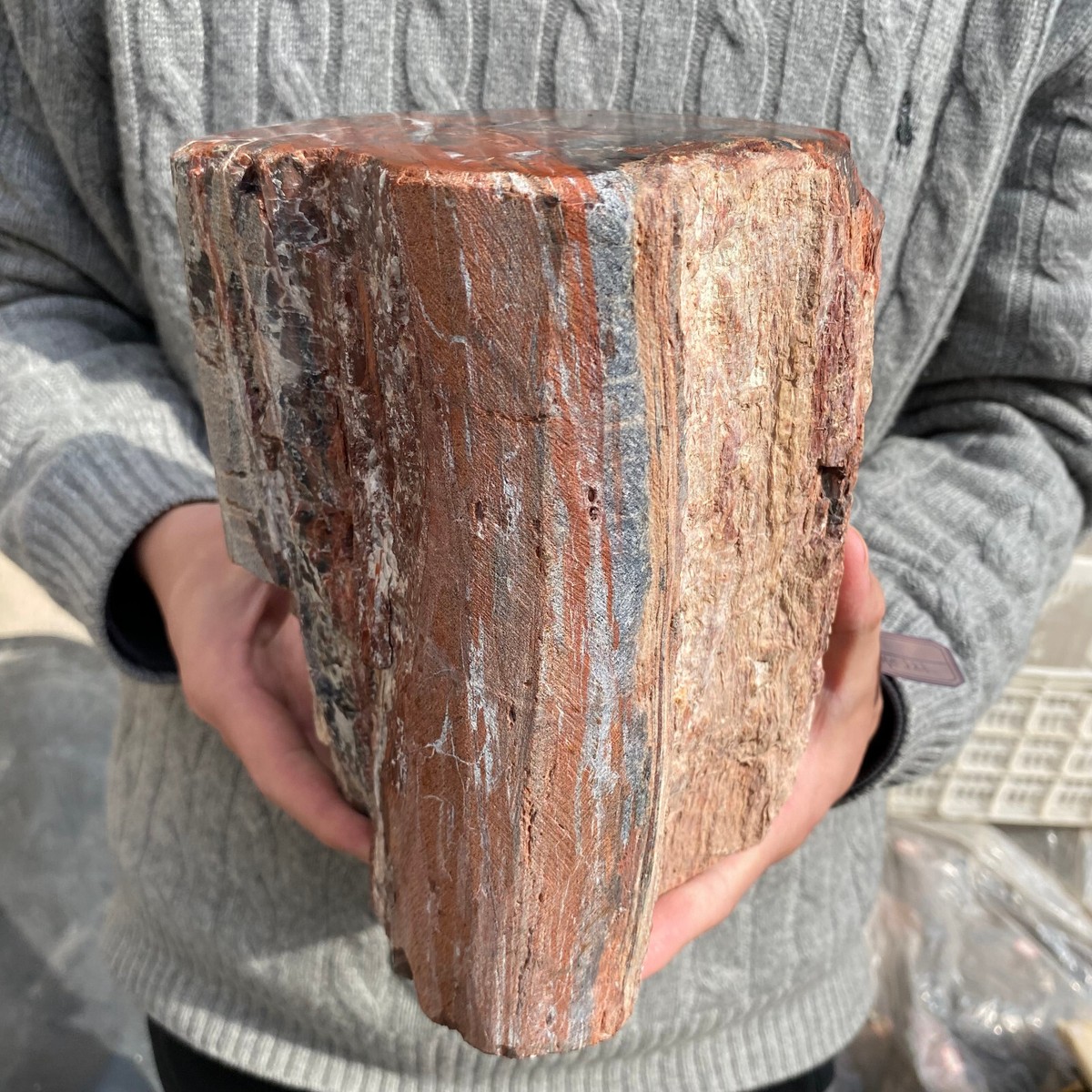 17.7lb Rare Natural petrified wood rough Wood fossil mineral