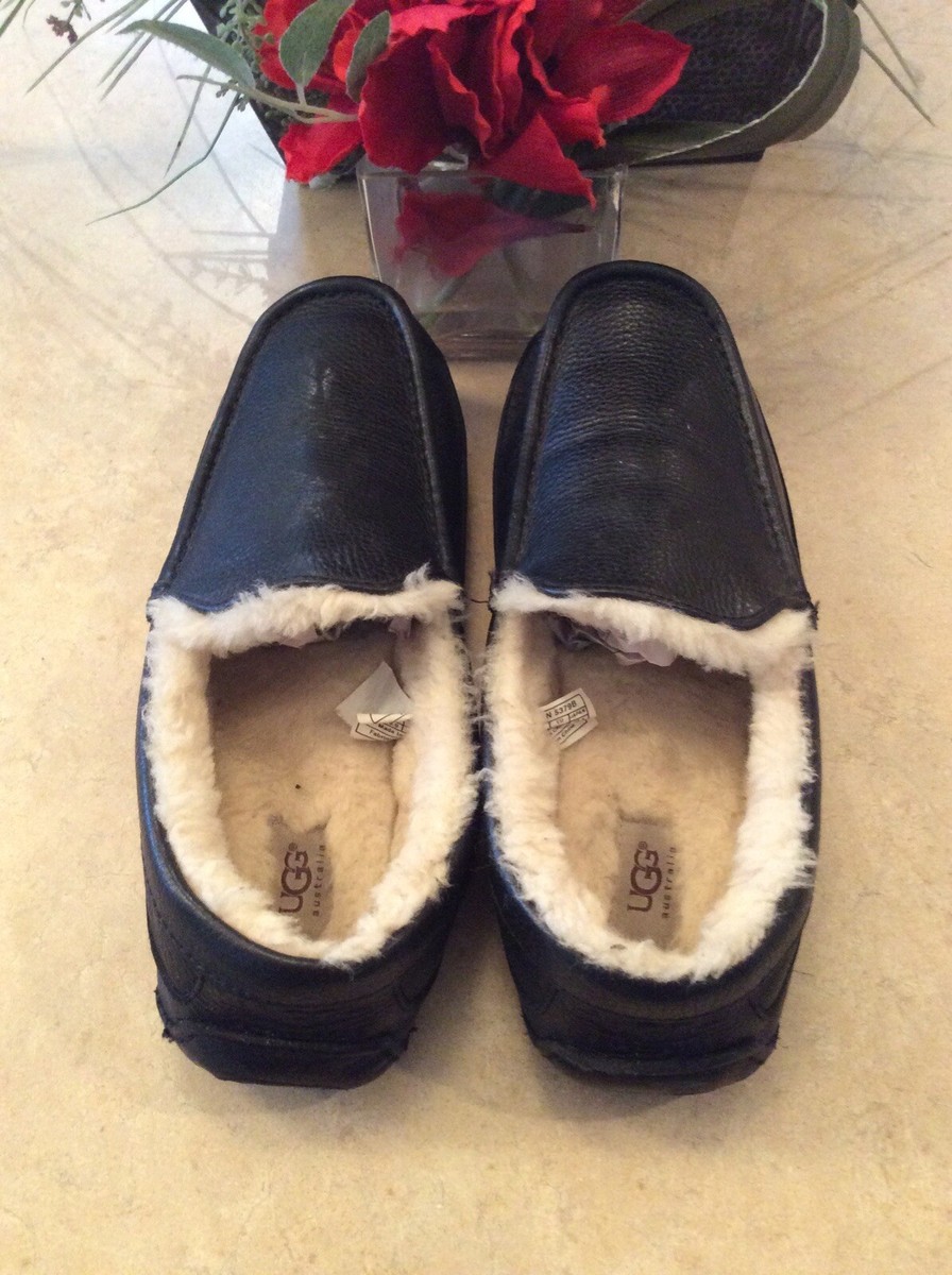 UGG ASCOT Men display picture 3