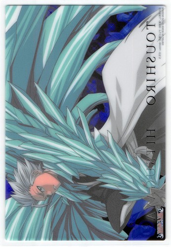 plastic trading card hitsugaya carddass ex soul plate 3 toush