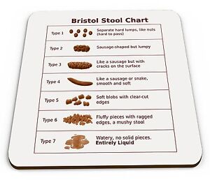 Bristol Stool Chart Image