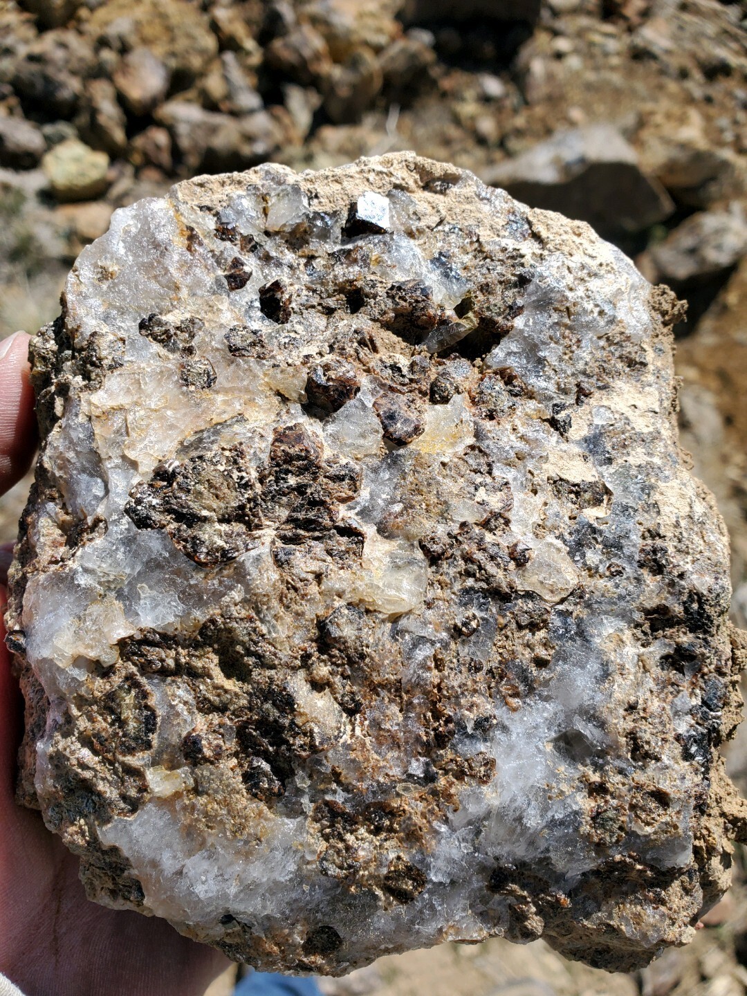 Steiner Mine near Lovelock Nevada Silver Gold Mining Claim with Big