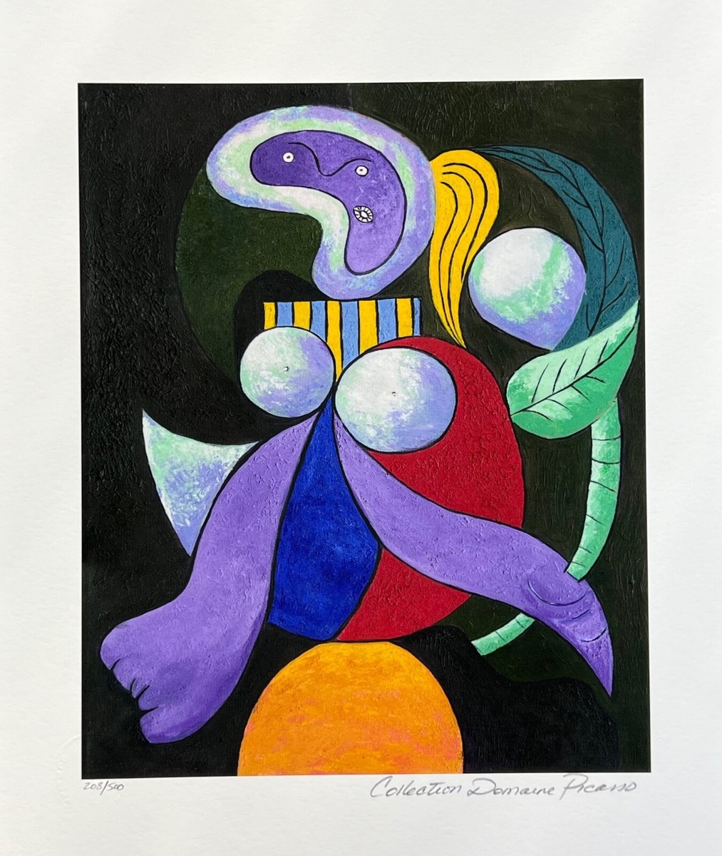 洋書 PICASSO by PICASSO Amazon.com: NHLDZYH Picasso Wall Art