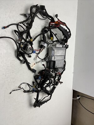 2017 - 2022 TESLA MODEL 3 FRONT CONTROLLER MODULE W/ WIRE WIRING HARNESS OEM