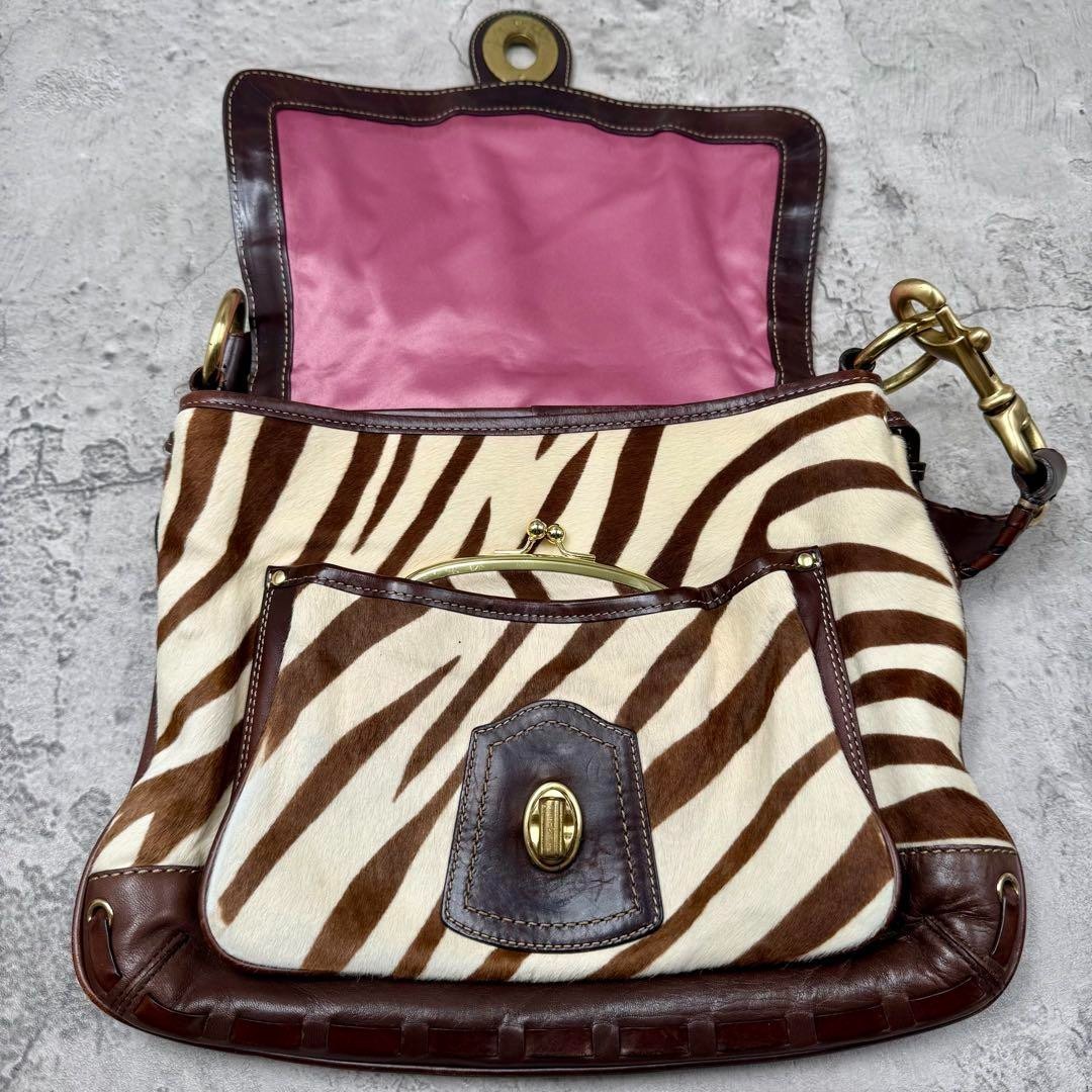 PONY RARO articolo COACH 10366 Y2K Legacy borsa a tracolla capelli di vitello a righe zebrate Giappone