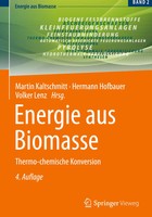 Energie aus Biomasse | Thermo-Chemische Konversion | Martin Kaltschmitt (U. A.)
