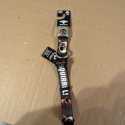 Up! Squirrel! Dog Collar Buckle-Down  Medium Breed 1  Wide SZ M 9 -15  New