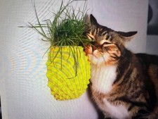 Pineapple Cat Self Scratcher  Cat Grass Planter