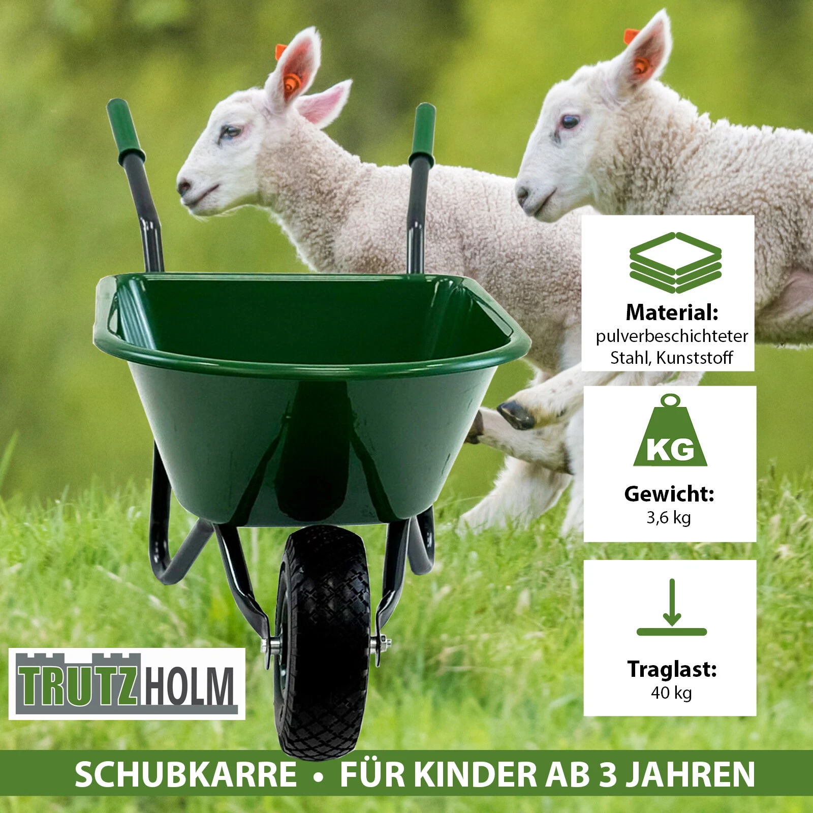 Bild 3 von 7