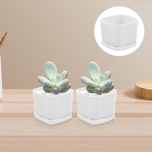6 Pcs Mini Flower Pot Home Decoration Vase Indoor Succulent Planter