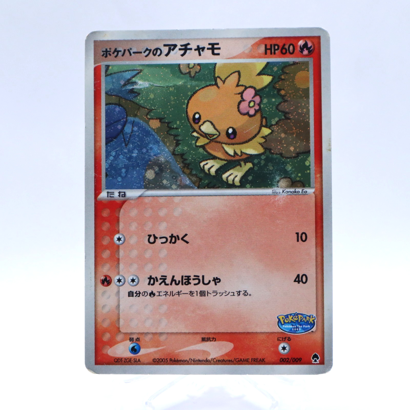 PokePark's Torchic 002/009 Holo PokePark Forest File Promo Pokemon Card Japanese